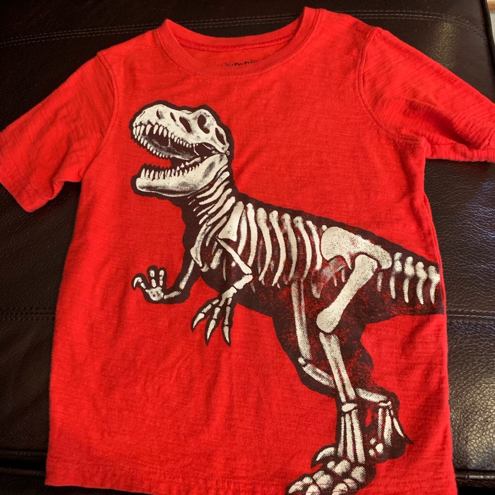 Dino tee, boys 5/6
